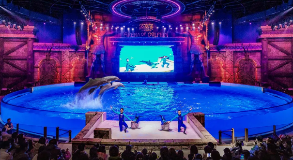 1727589006124.png 1727589006124.png