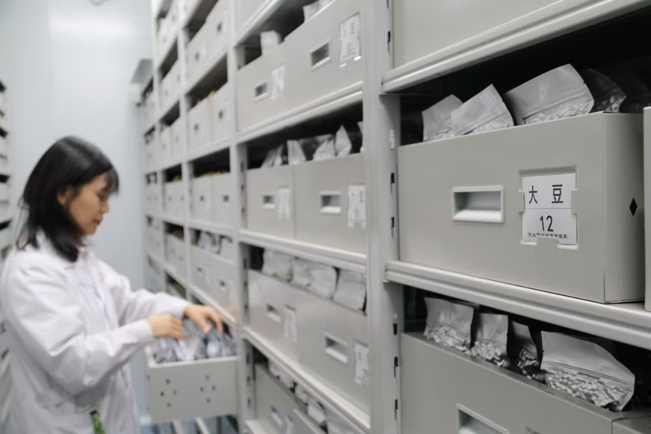 大豆種質資源庫2.jpg